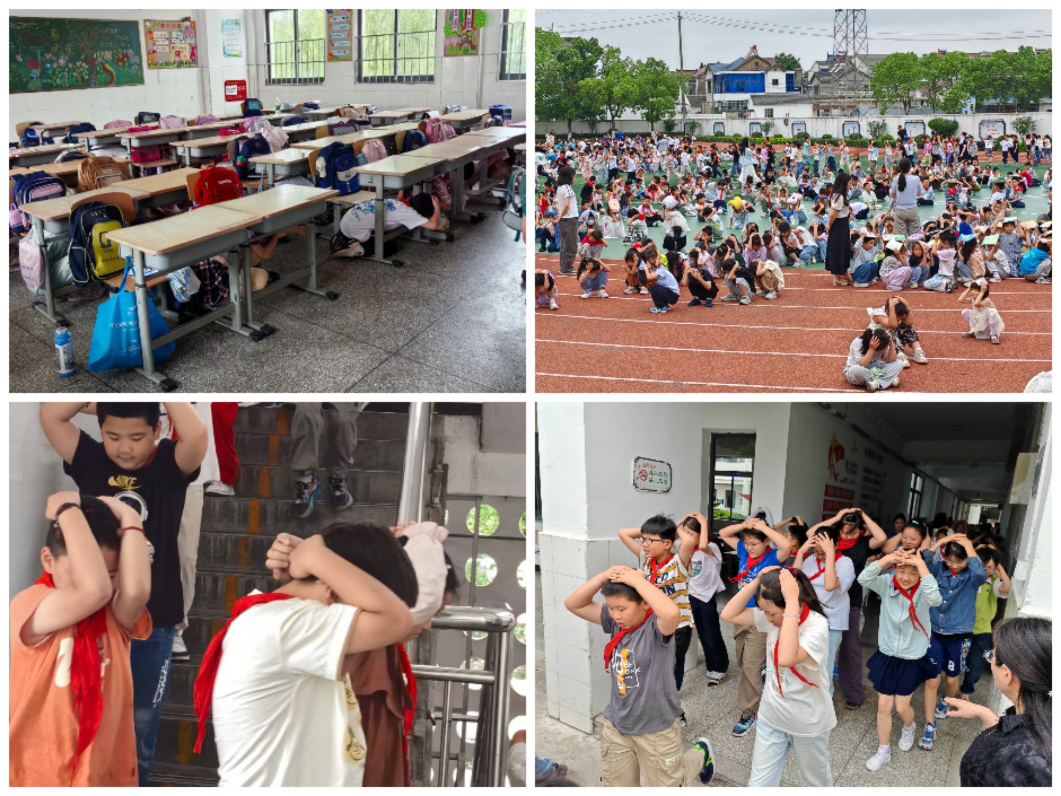 Collage_20250522_114702.jpg